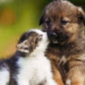 Meet your Posher, Valery